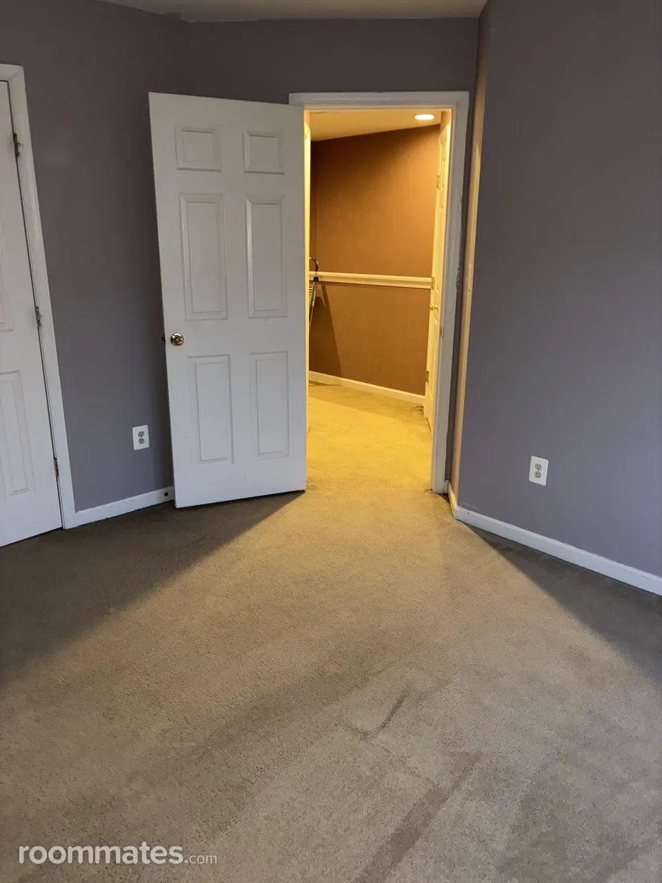 Profile photo 6 of 14