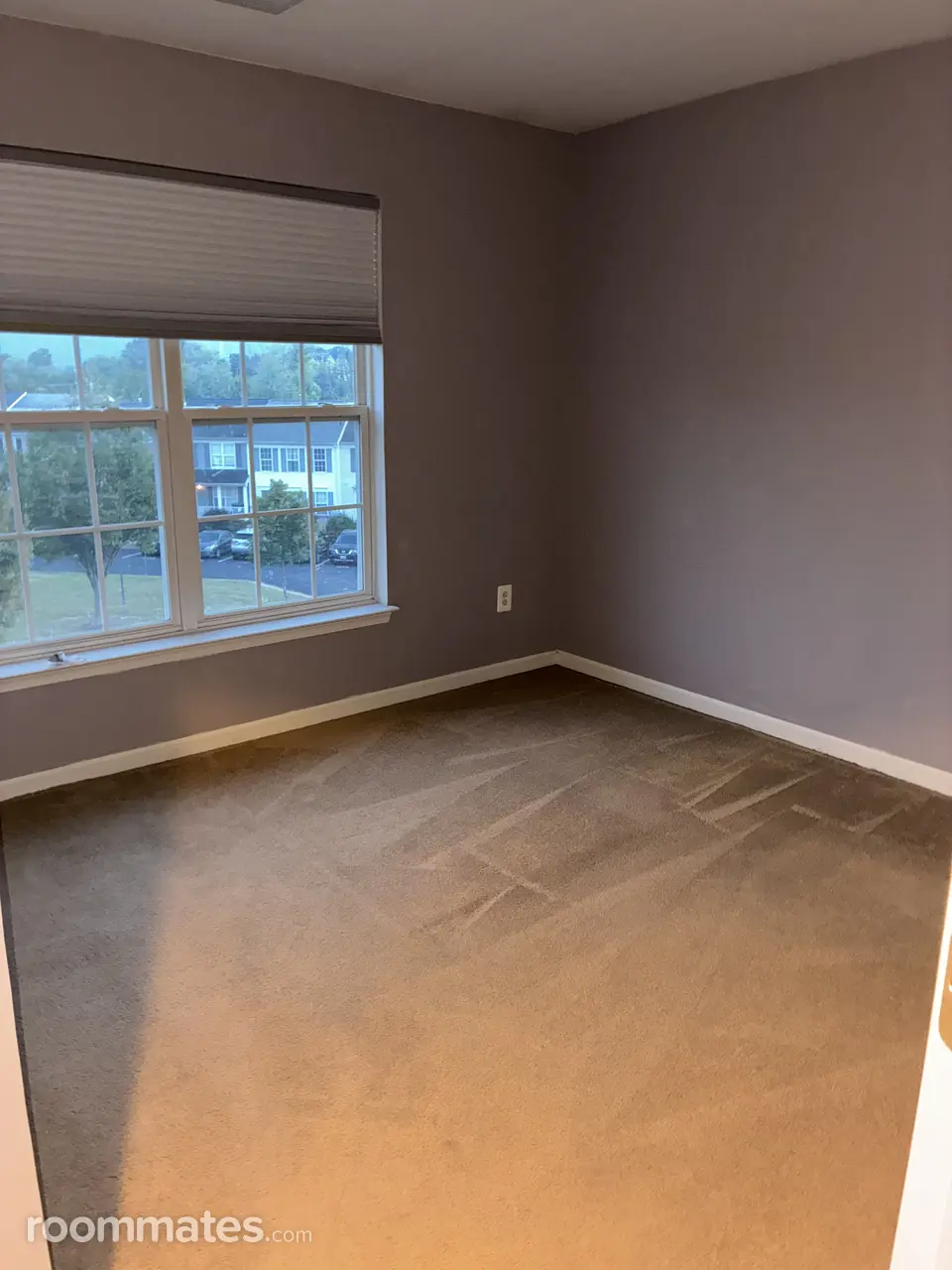 Profile photo 1 of 14