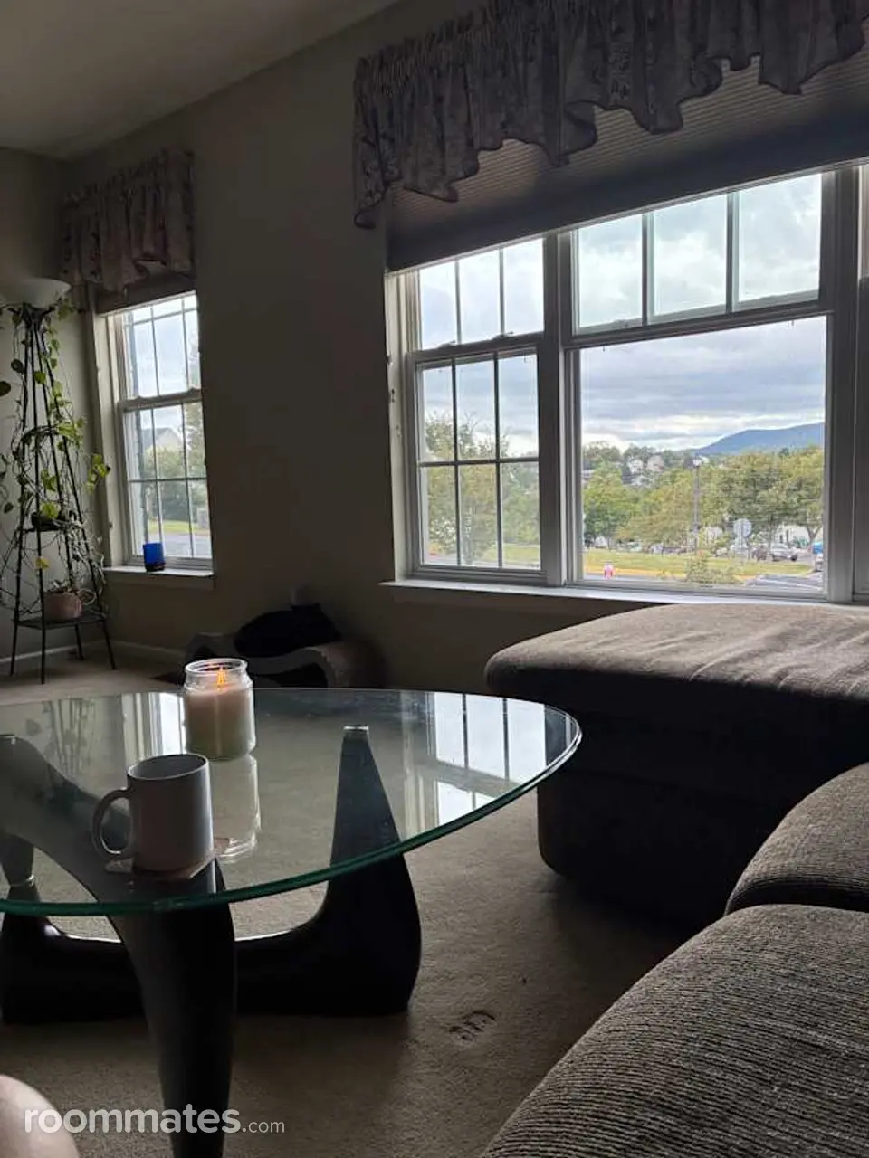 Profile photo 7 of 14