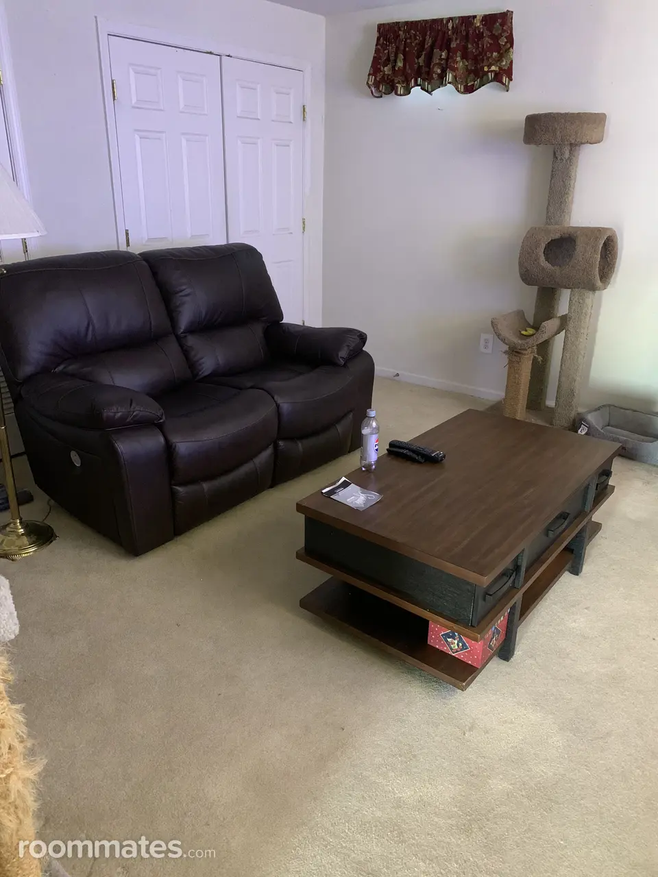 Profile photo 13 of 14