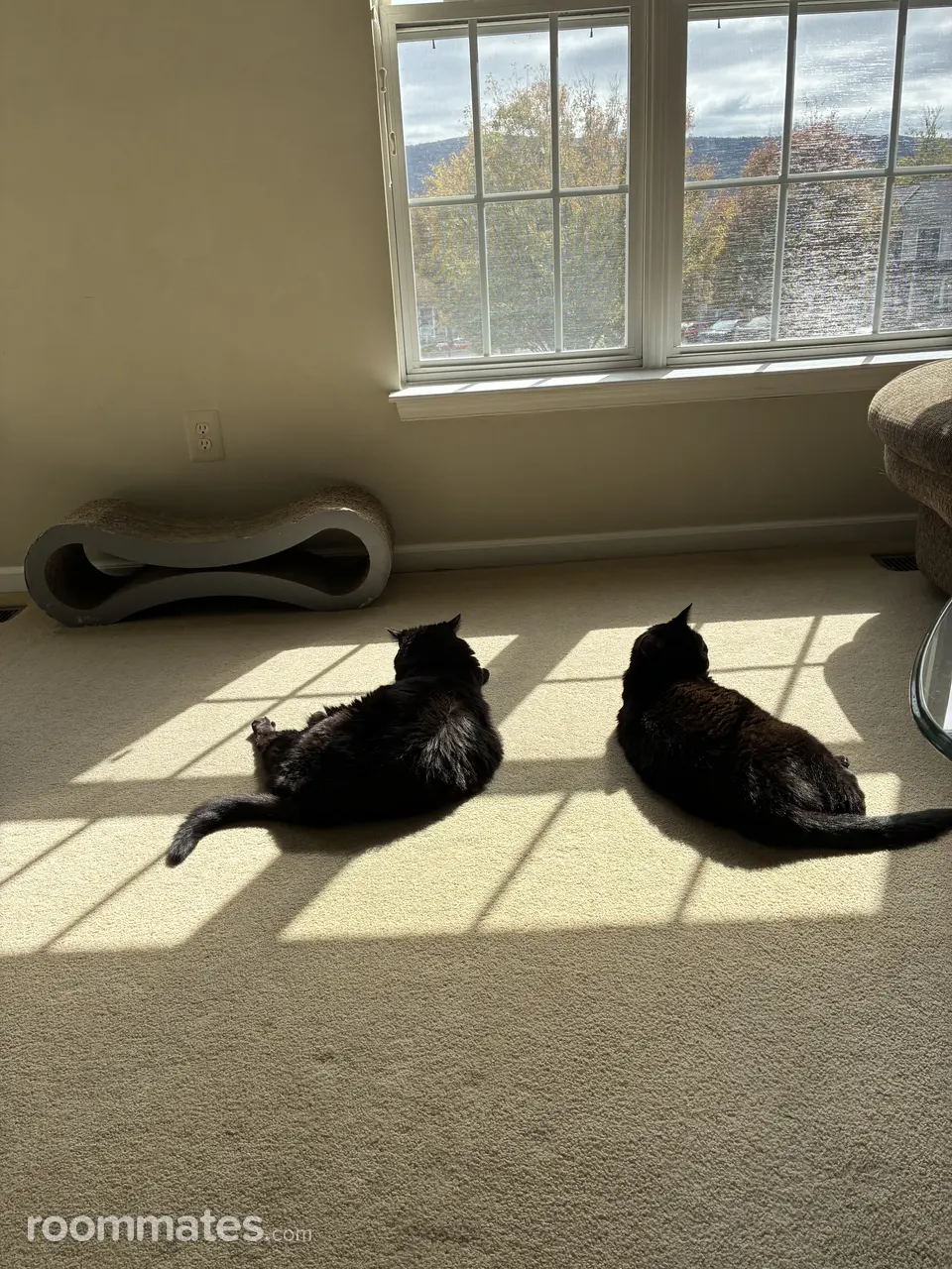 Profile photo 11 of 14