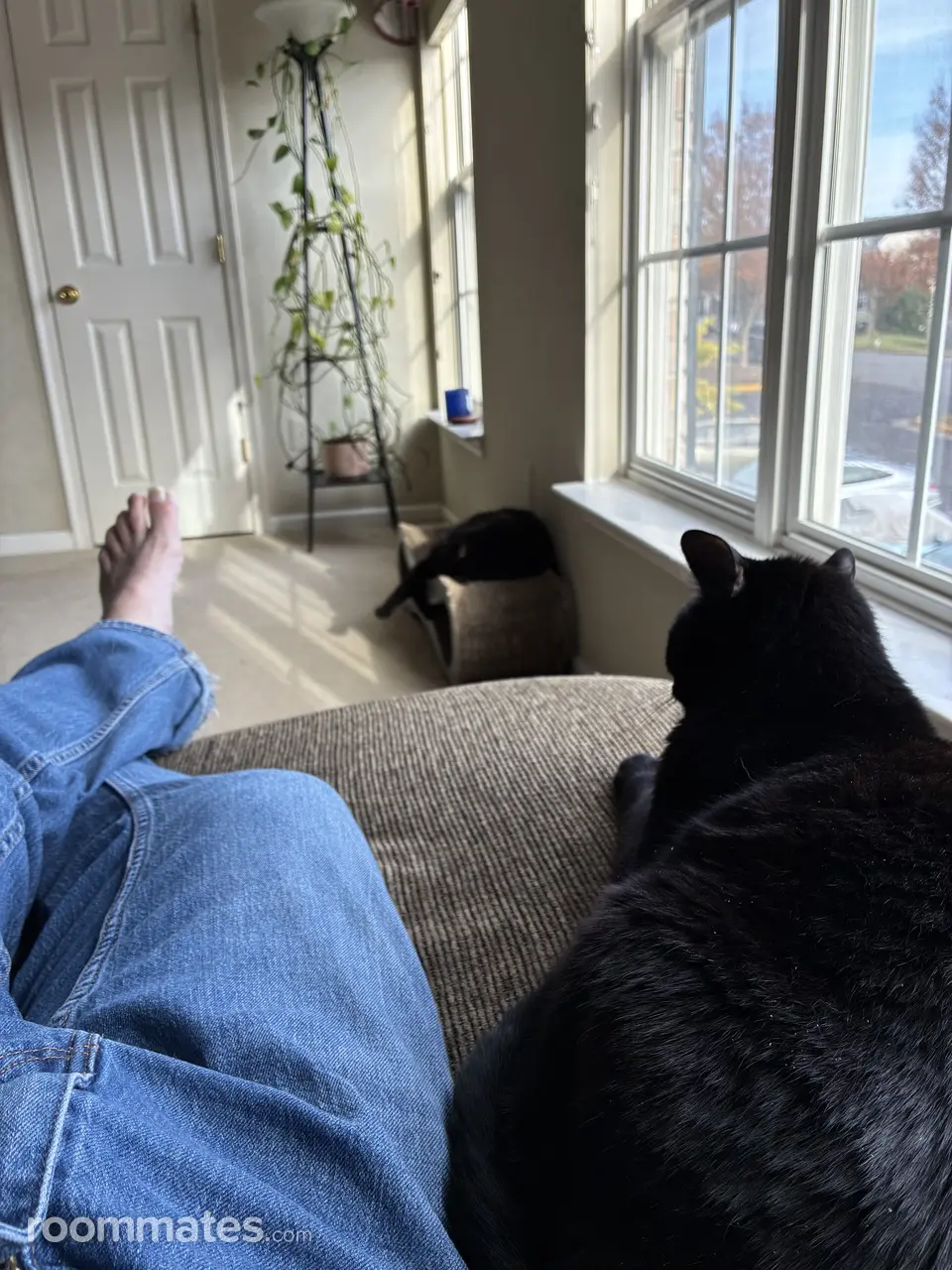 Profile photo 9 of 14