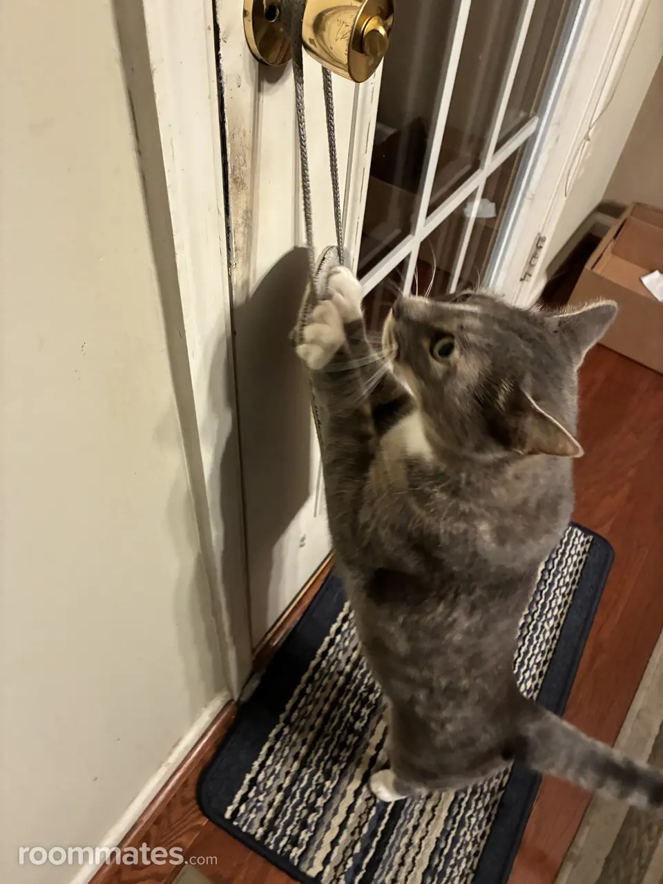 Profile photo 8 of 14