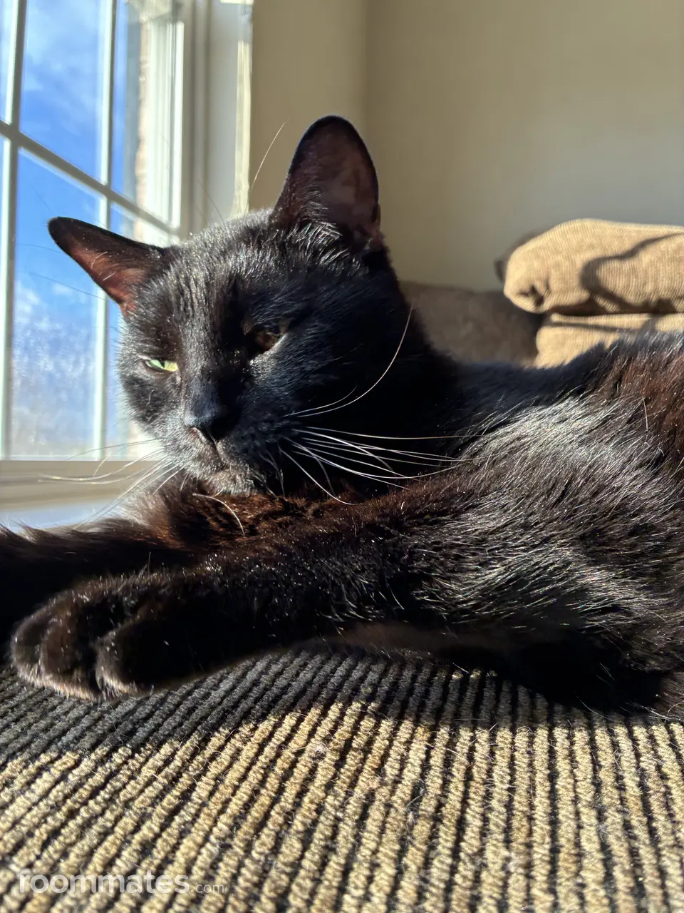 Profile photo 10 of 14