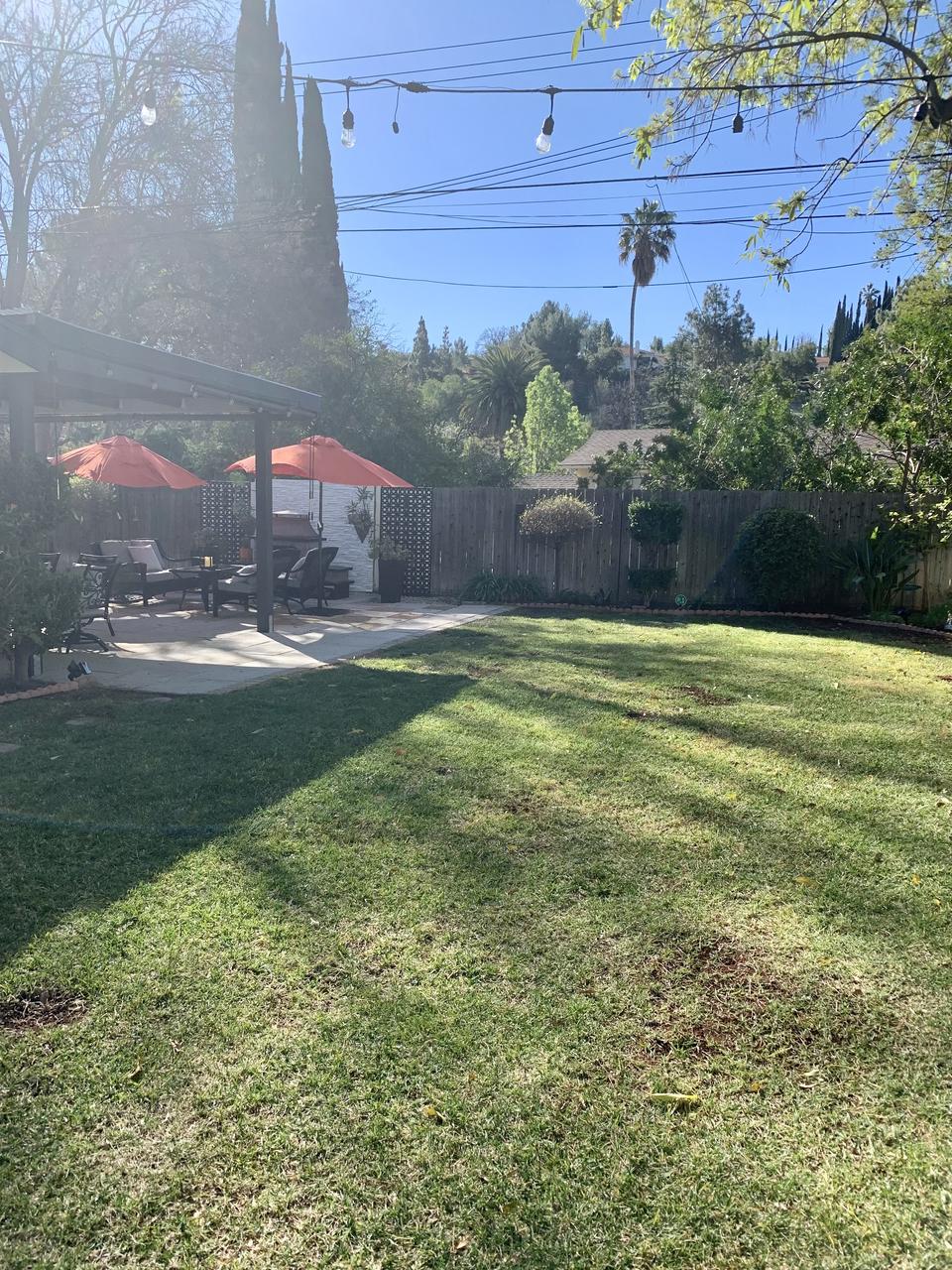 Profile photo 10 of 11