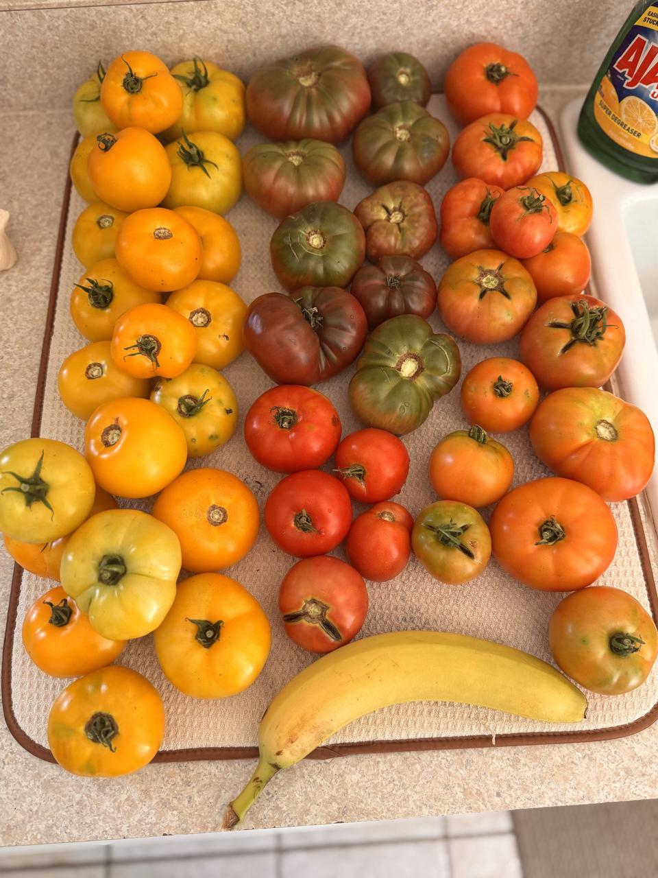 Profile photo 15 of 19