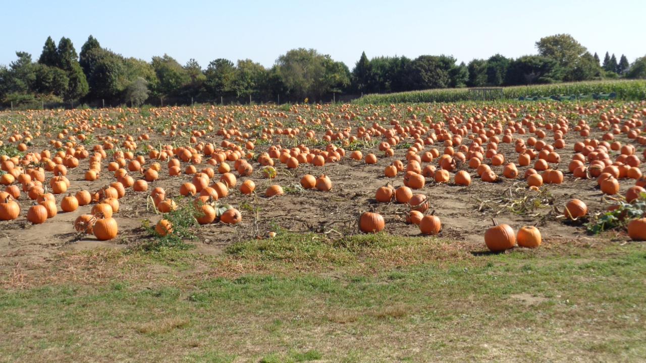 Profile photo 17 of 17