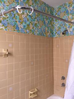 Room for rent in Raritan, NJ $1000, house