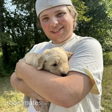Roommate looking Osseo, MN, $800