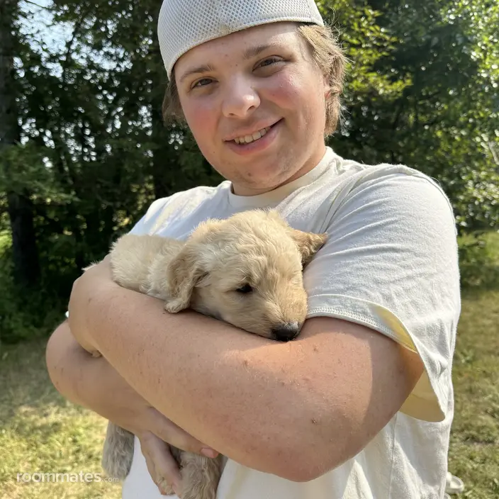 Roommate looking Minneapolis, MN, $800
