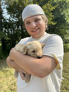 Roommate looking Maple Grove, MN, $800