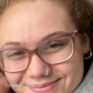 Roommate looking Sterling Heights, MI, $400