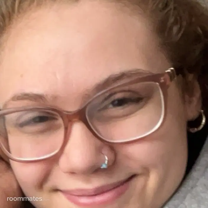 Roommate looking Warren, MI, $400