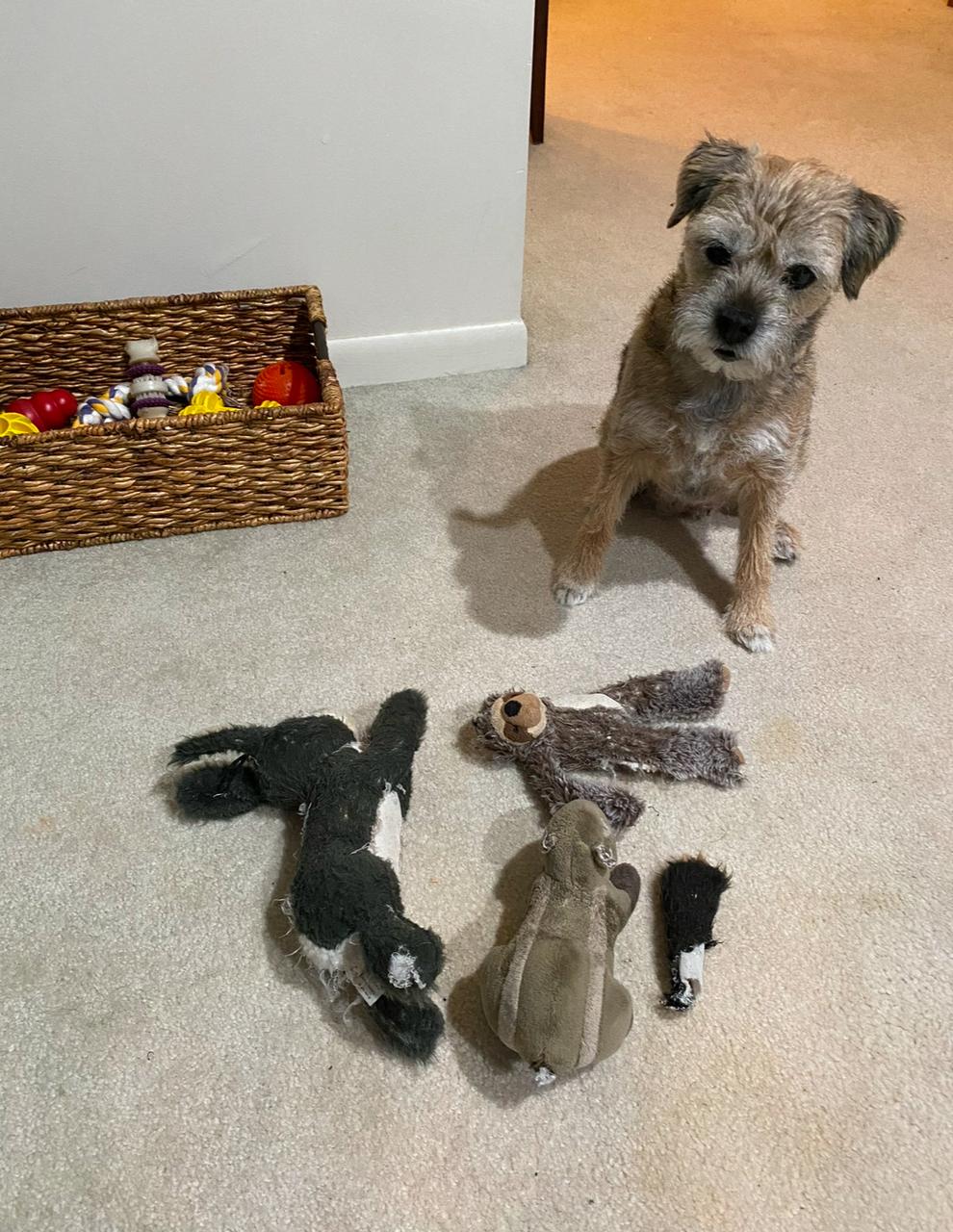 Profile photo 14 of 15