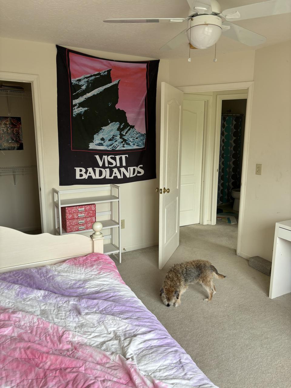 Profile photo 6 of 15