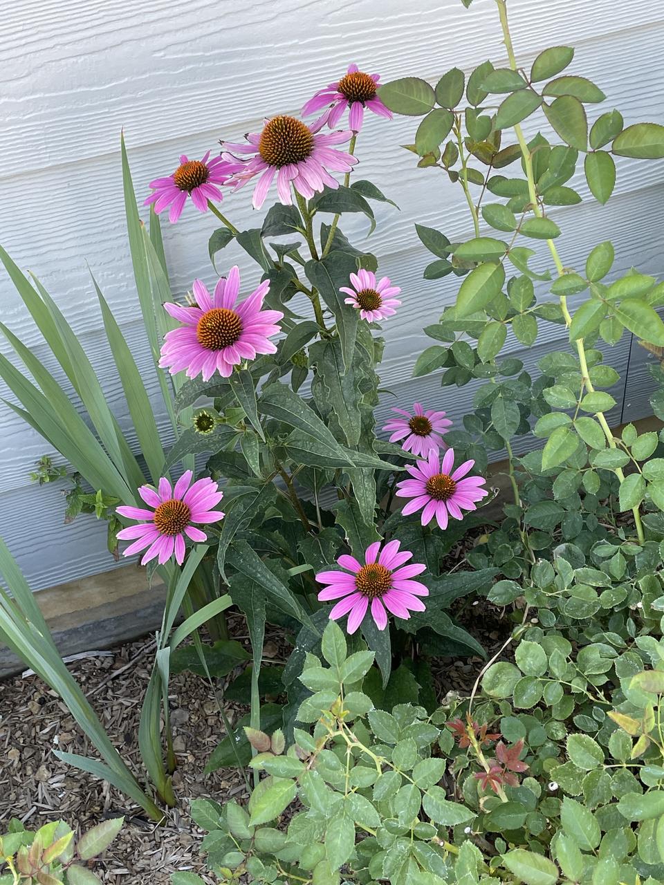 Profile photo 2 of 2