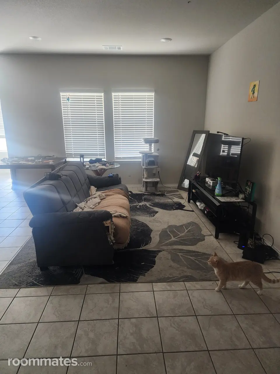 Profile photo 4 of 7