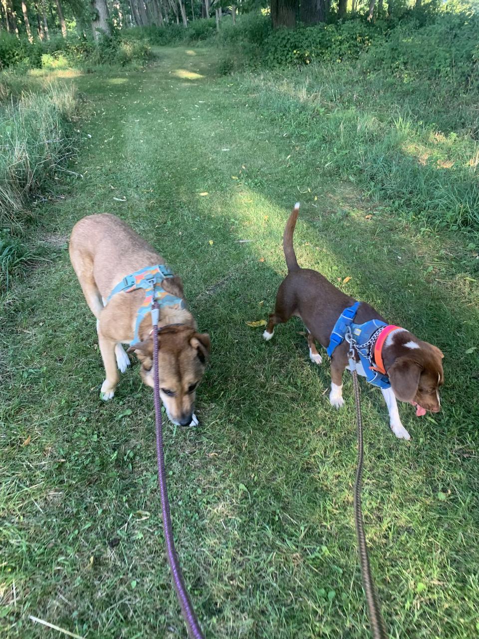 Profile photo 3 of 4