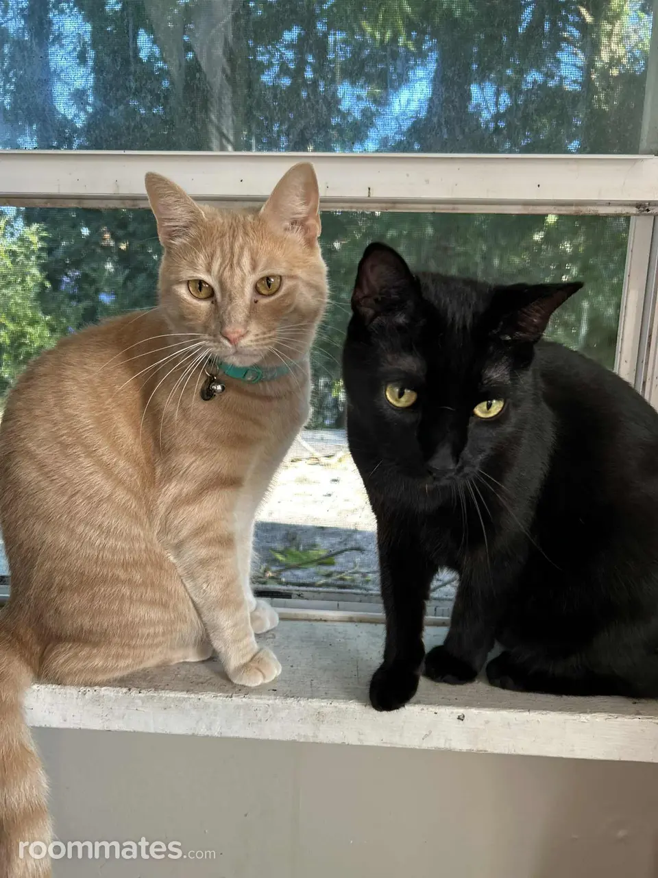 Profile photo 3 of 3