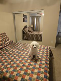 Room for rent in Charlotte, NC $900, house