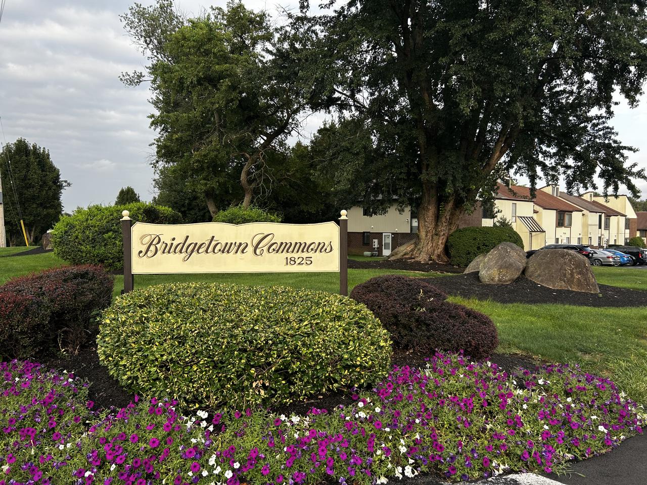 Profile photo 8 of 9