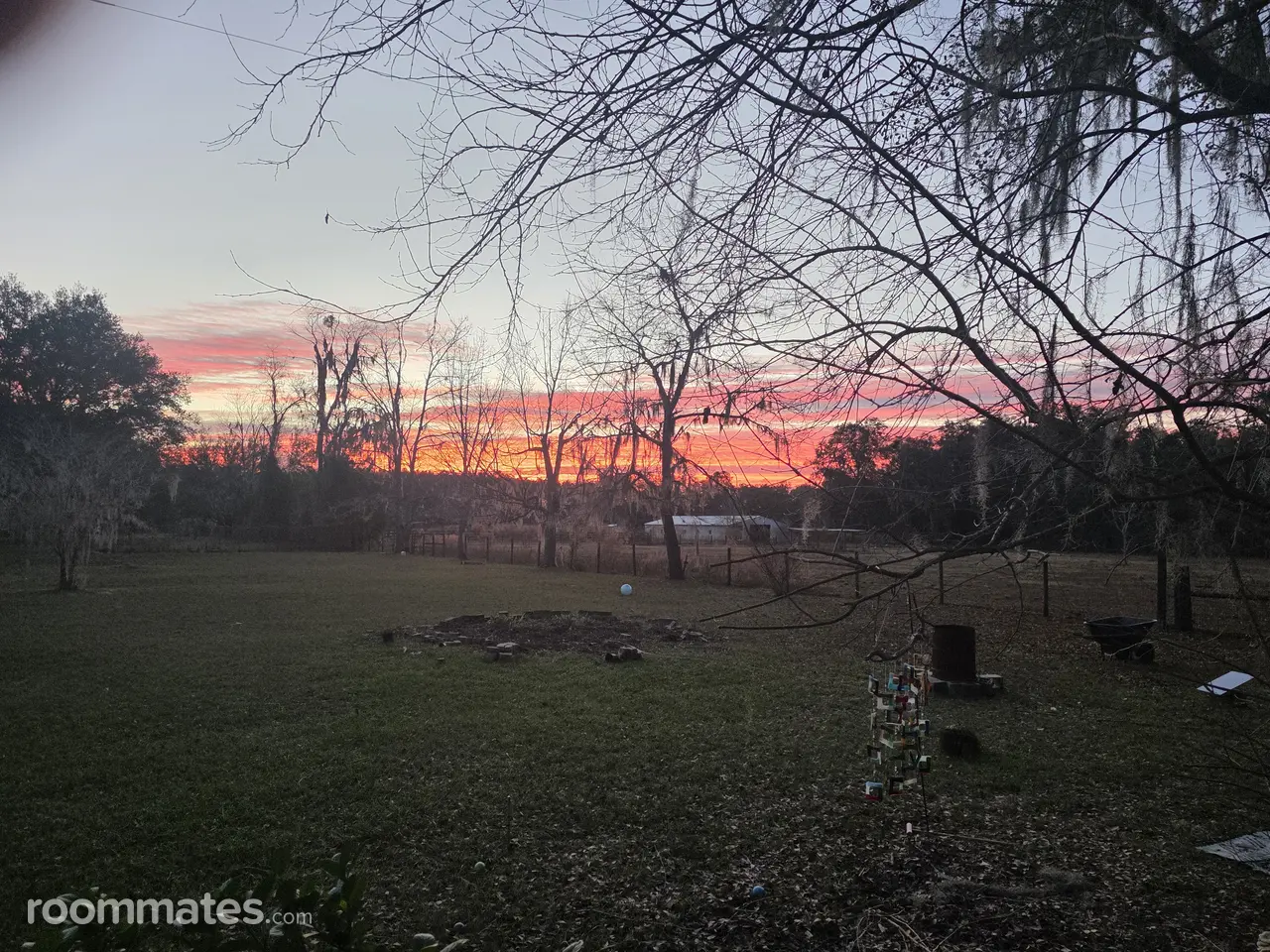 Profile photo 3 of 4