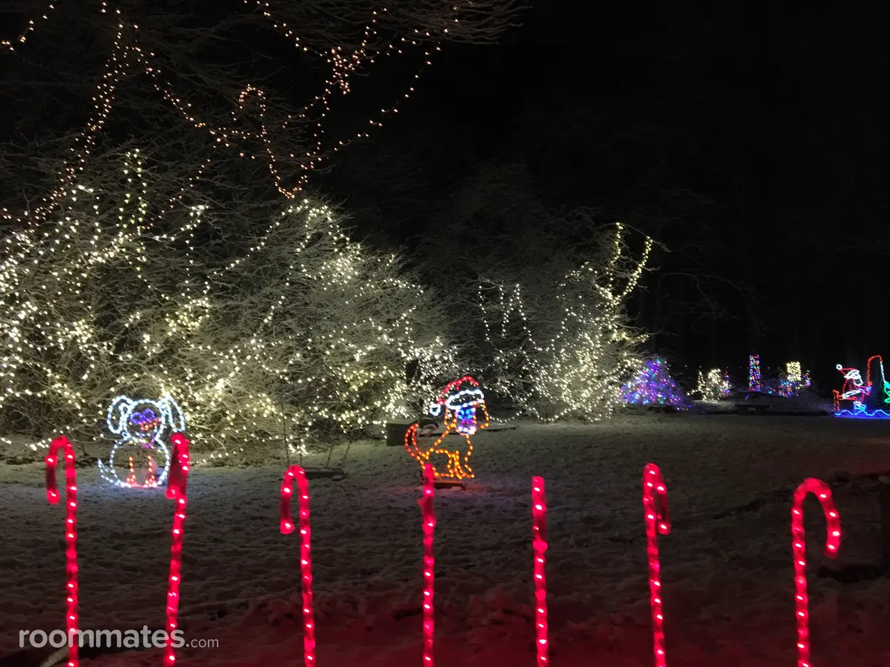 Profile photo 3 of 3