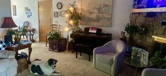 Room for rent in Bella Vista, AR $650, house