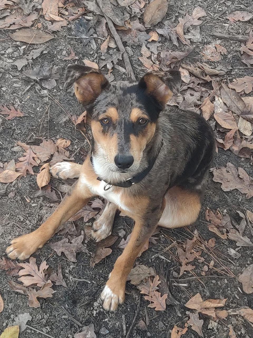 Profile photo 12 of 16