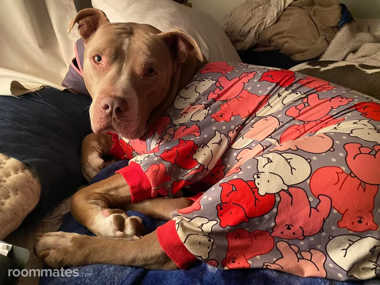 Profile photo 13 of 16