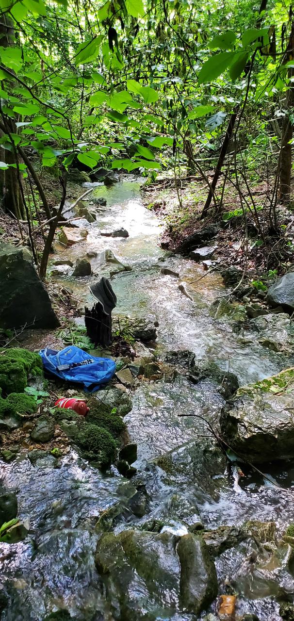 Profile photo 10 of 10