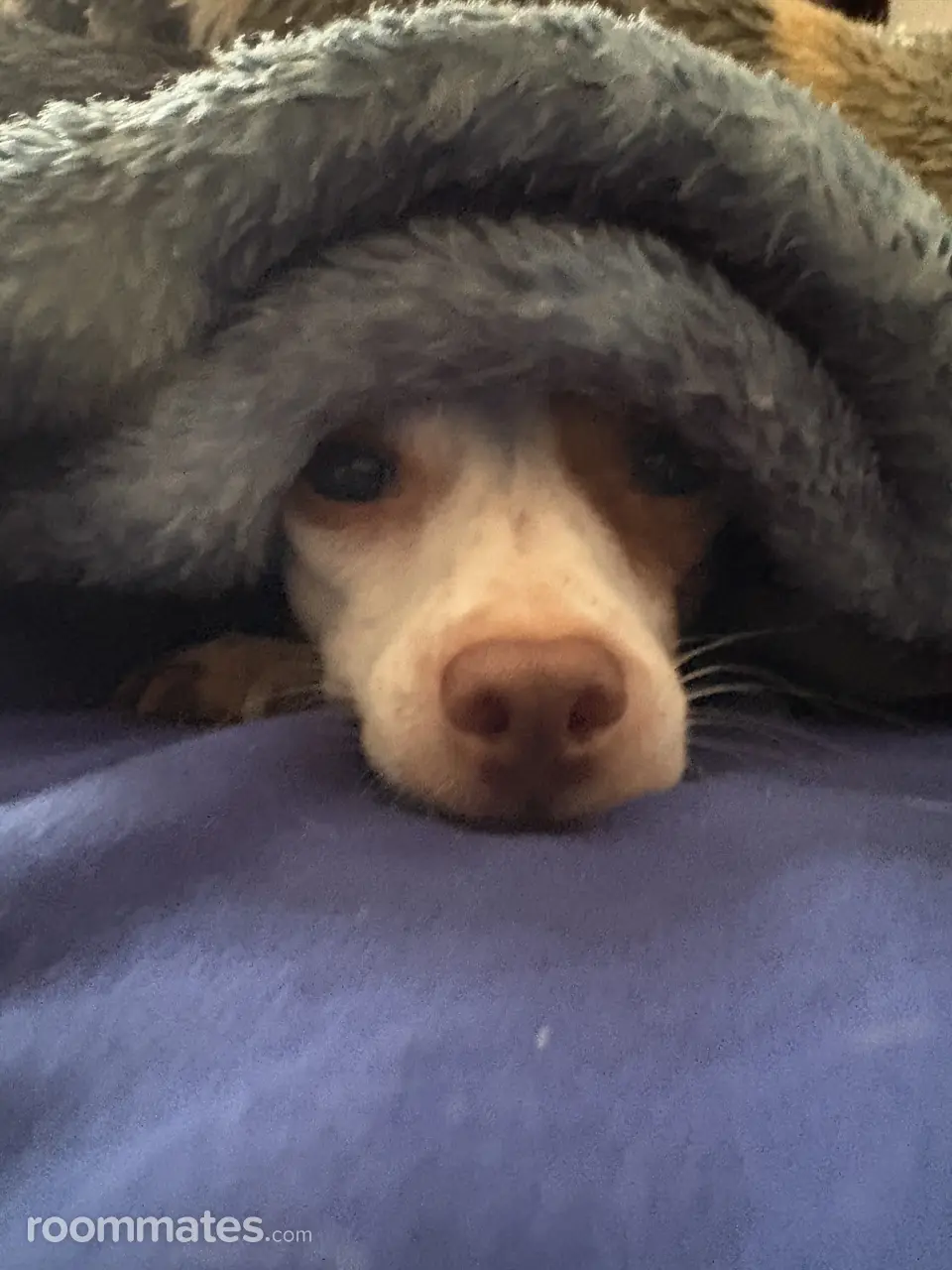 Profile photo 4 of 4