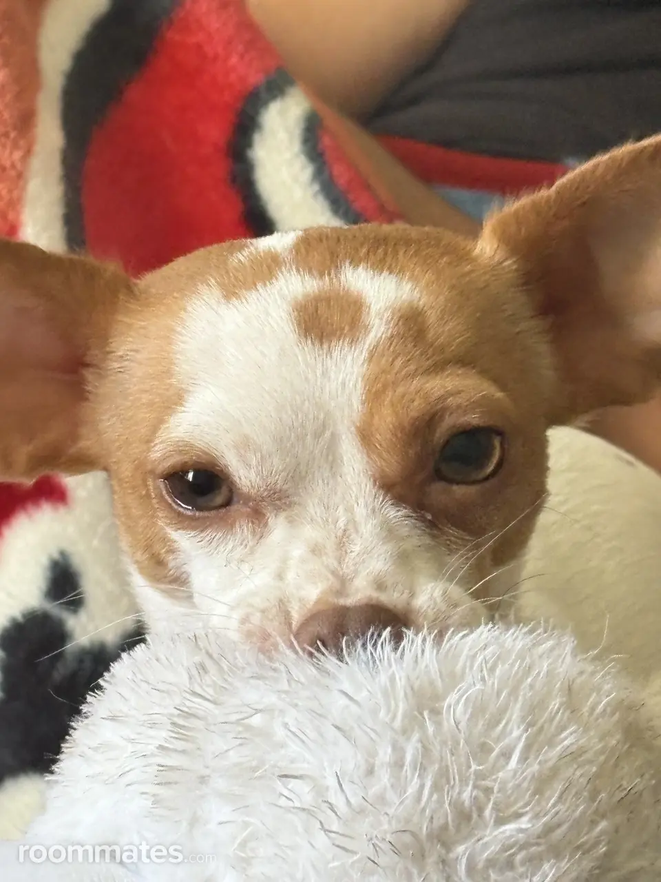 Profile photo 2 of 4