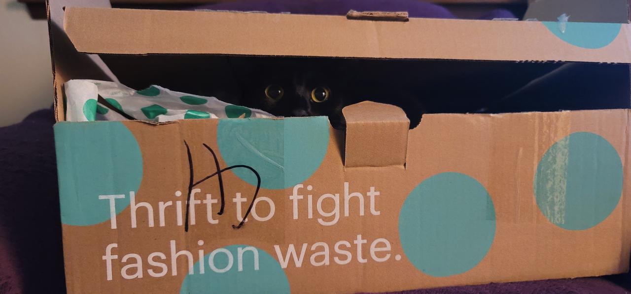 Profile photo 2 of 2