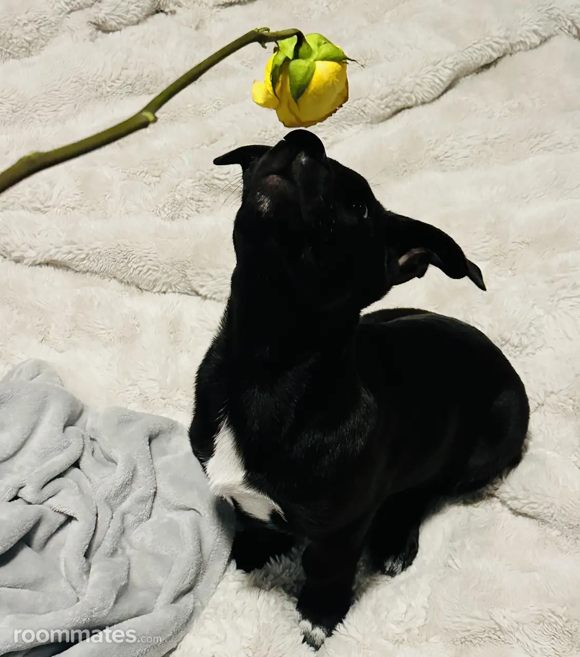 Profile photo 2 of 4