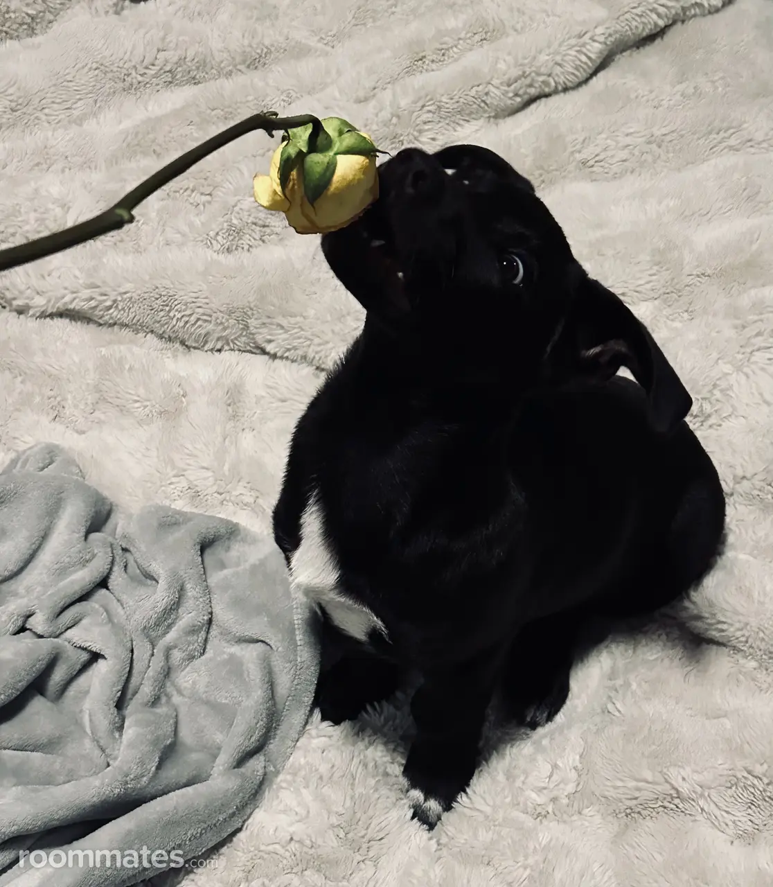 Profile photo 4 of 4