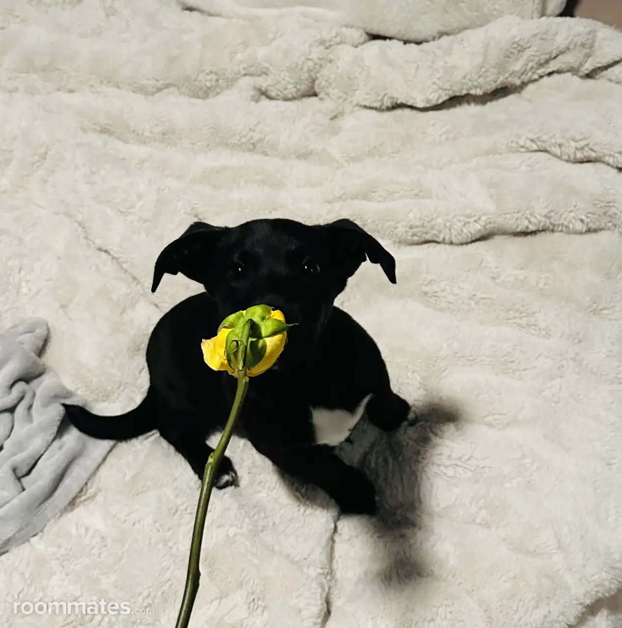 Profile photo 3 of 4