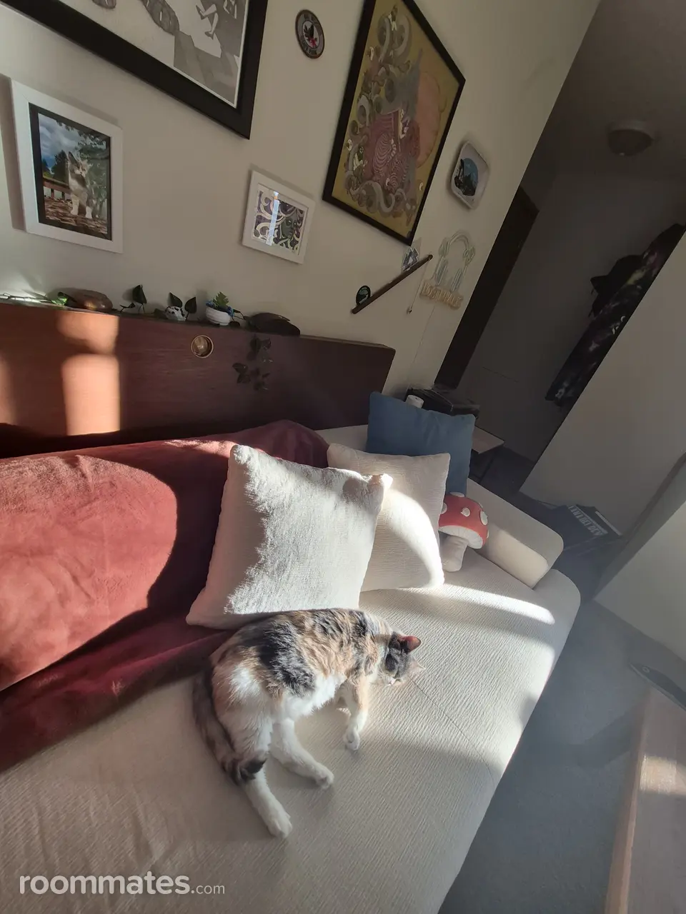 Profile photo 6 of 6