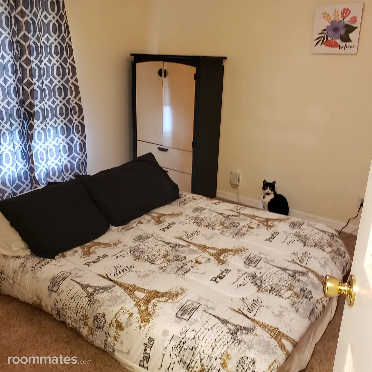 Profile photo 9 of 21