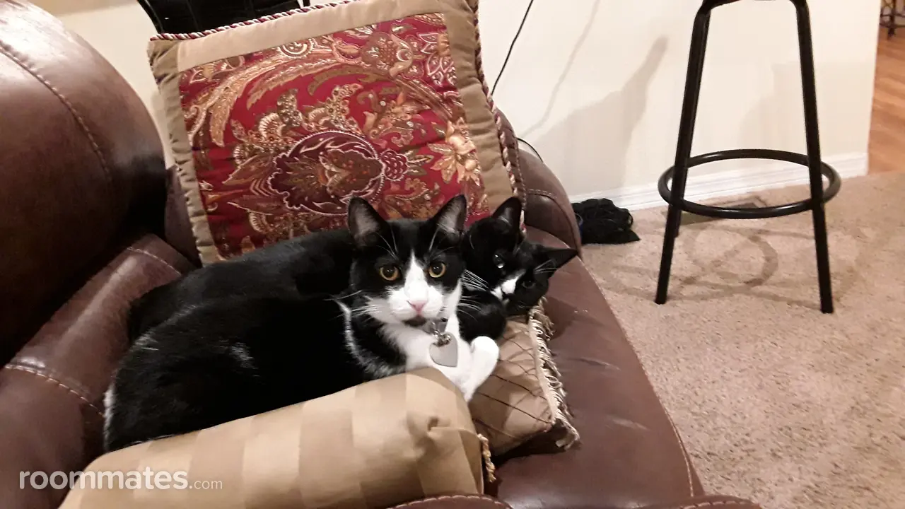 Profile photo 11 of 21