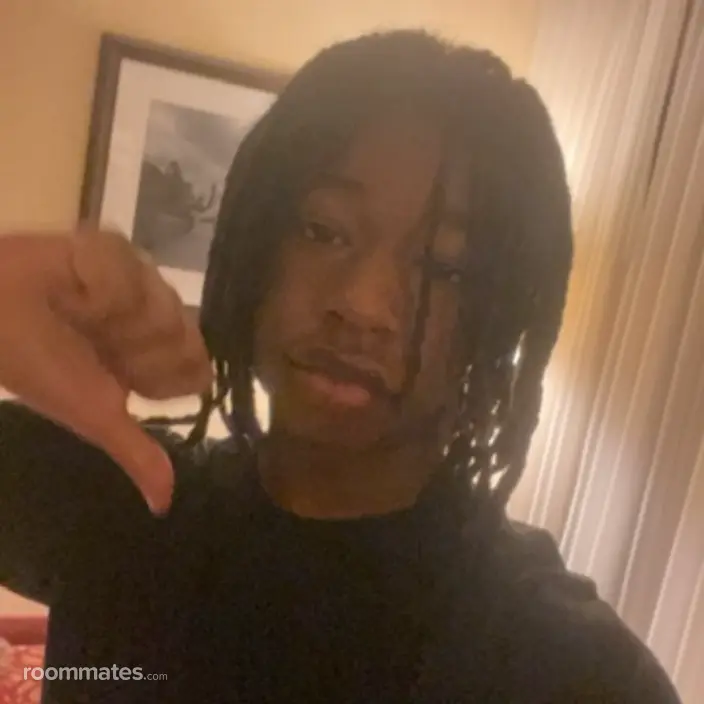 Roommate looking Baltimore, MD, $1000