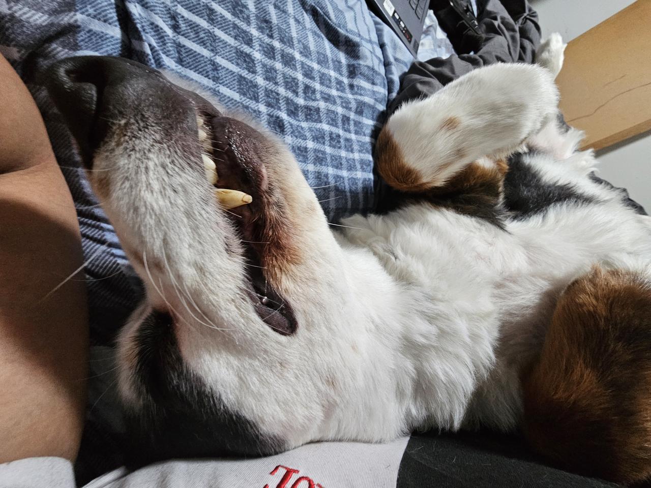 Profile photo 9 of 10