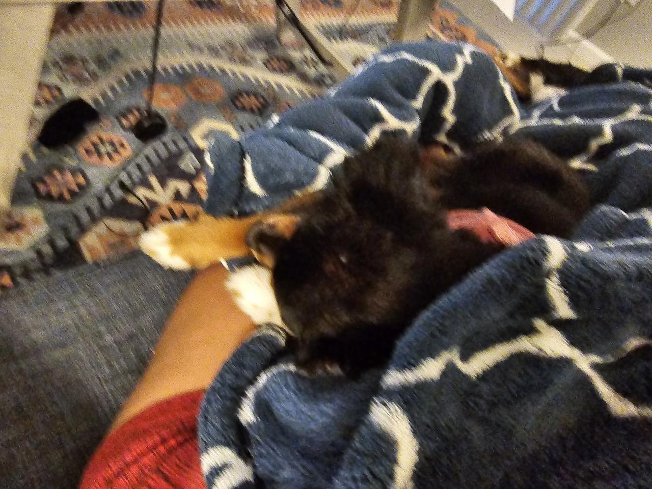 Profile photo 5 of 10