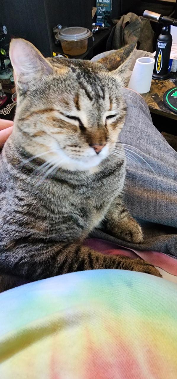 Profile photo 6 of 9