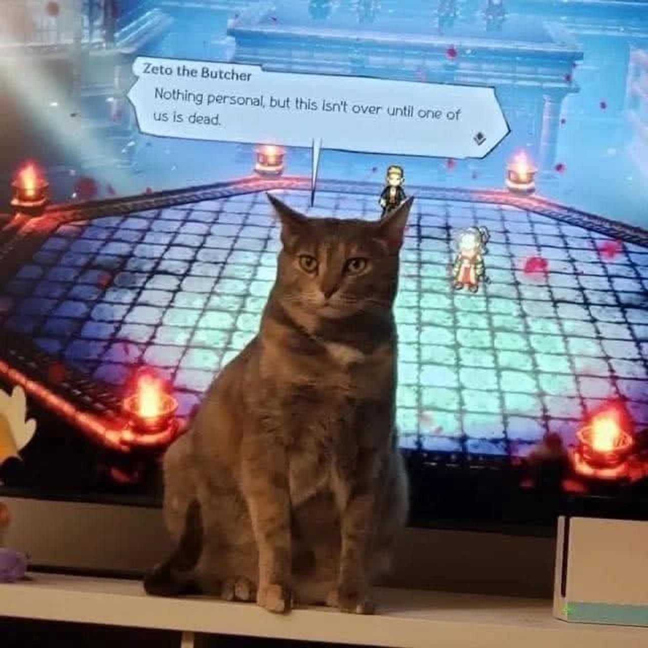 Profile photo 8 of 9