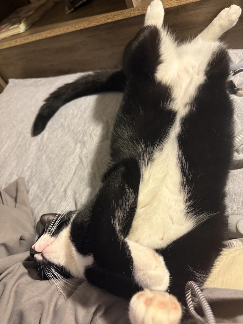 Profile photo 2 of 2