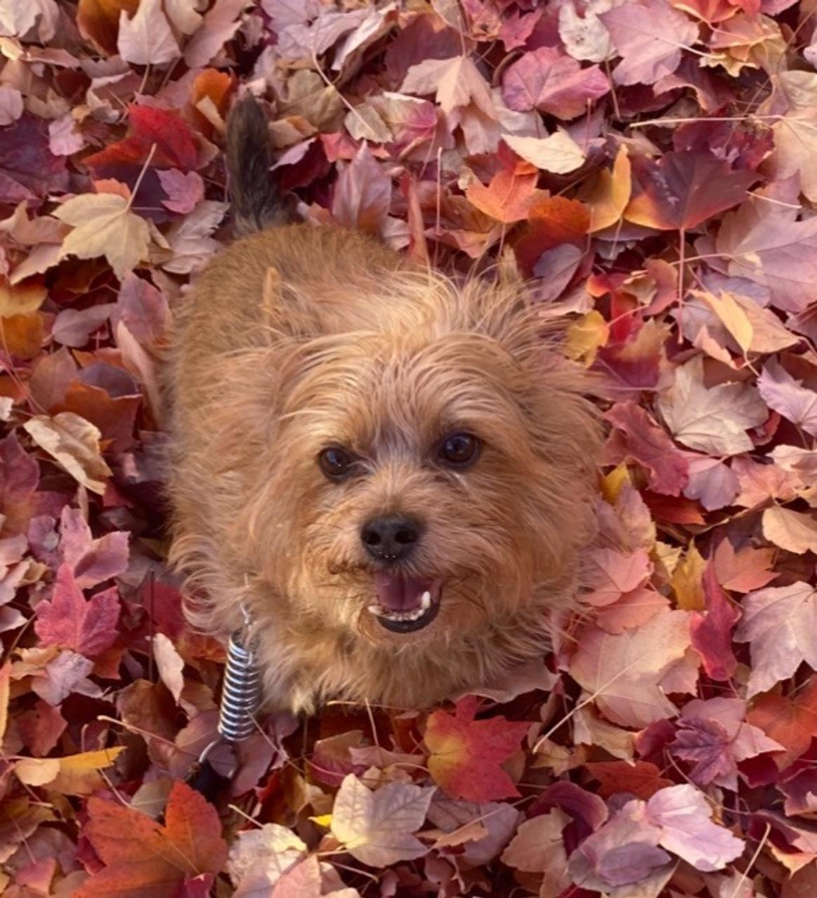 Profile photo 2 of 6