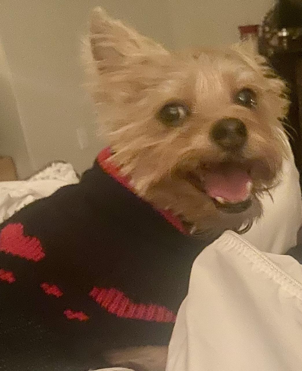 Profile photo 3 of 6