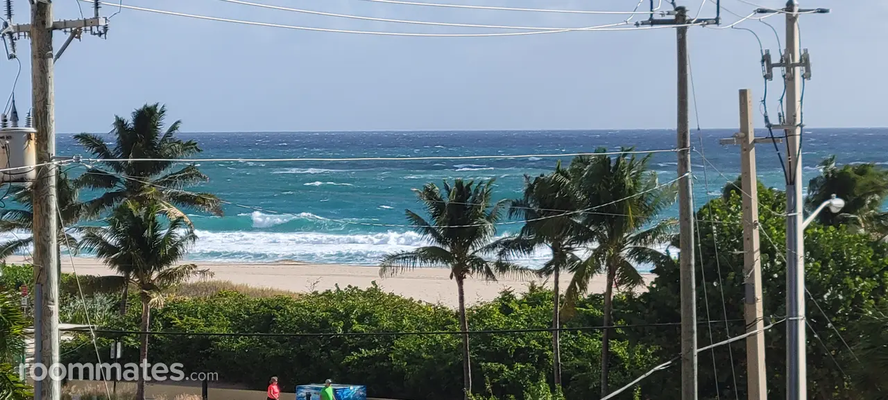 Profile photo 3 of 11