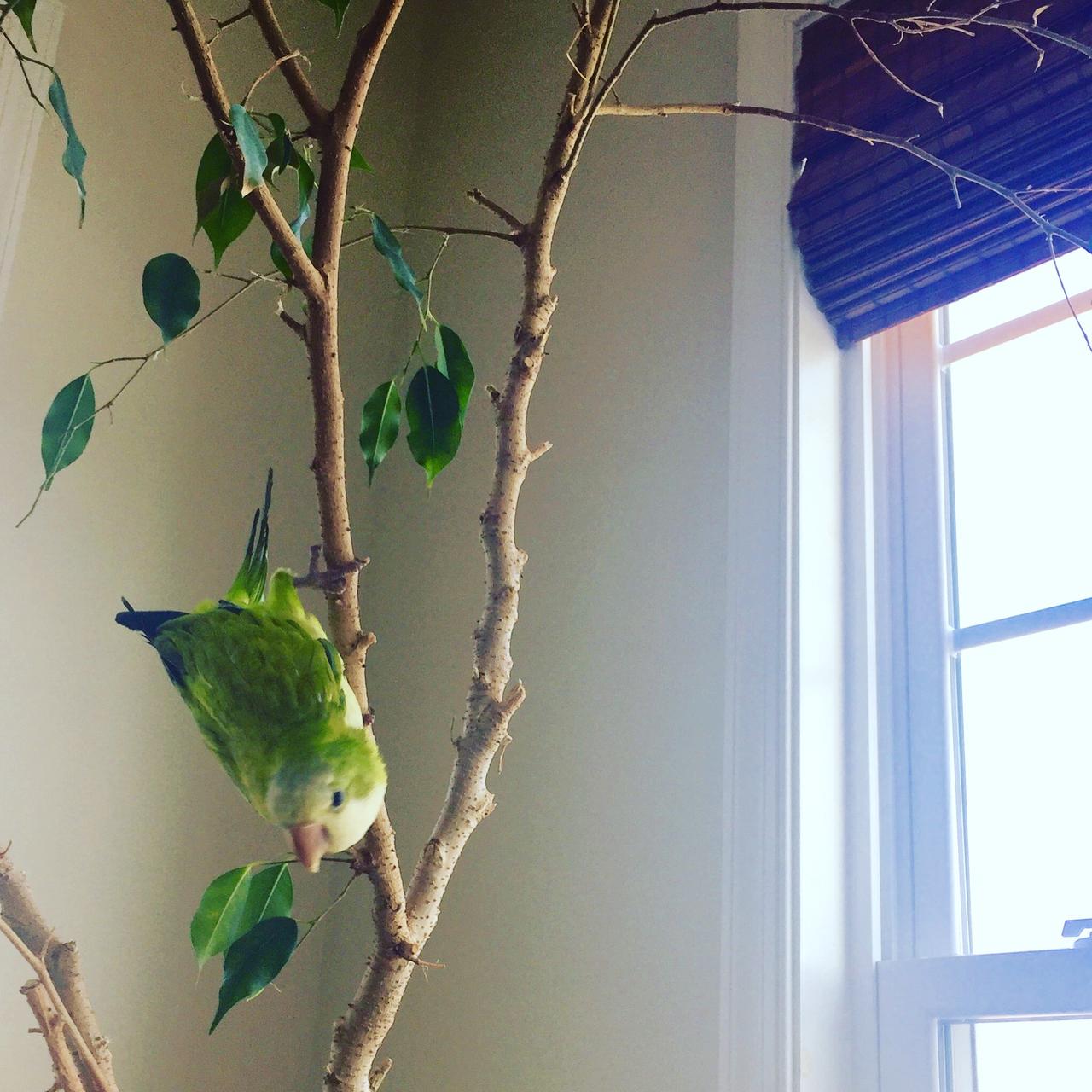 Profile photo 7 of 7